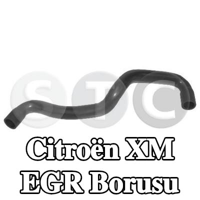 STC EGR borusu — Citroën Xm