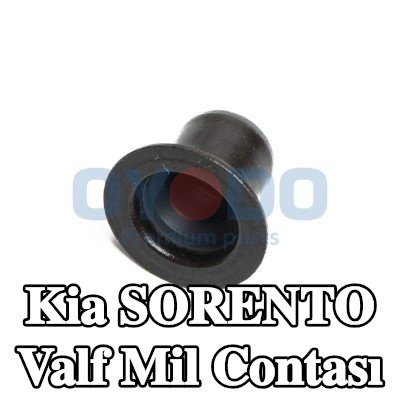Oyodo Valf mil contası — 2012 Kia Sorento