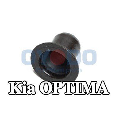 Oyodo حشية صمام — 2011 Kia Optima