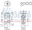 NISSENS AC genleşme valfi — Audi Q4 (6)
