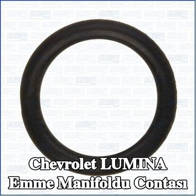 AJUSA Emme manifoldu contası — Chevrolet Lumina