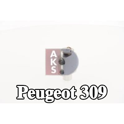 AKS DASIS صمام تمدد تكييف الهواء — Peugeot 309