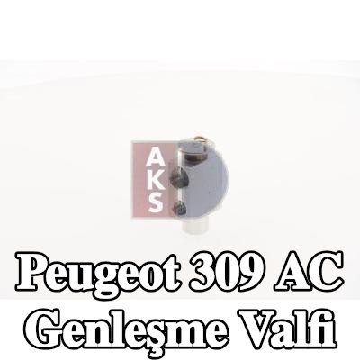 AKS DASIS AC genleşme valfi — Peugeot 309