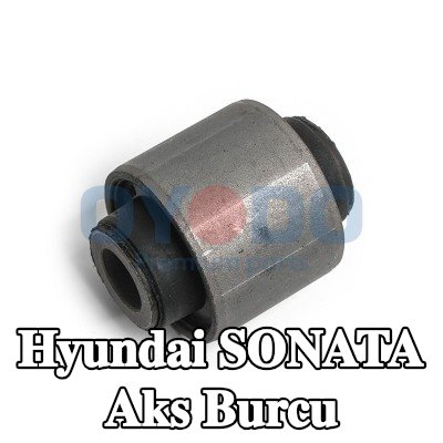 Oyodo Arka Aks Üst Burcu — 2000 Hyundai Sonata