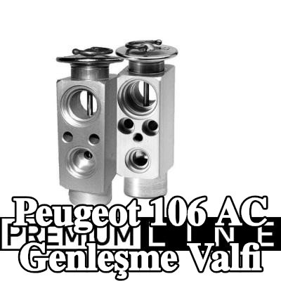 MAHLE AC genleşme valfi — 2000 Peugeot 106