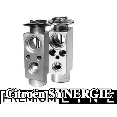 MAHLE صمام تمدد تكييف الهواء — Citroën Synergie