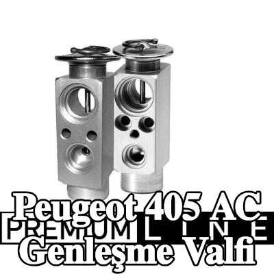 MAHLE AC genleşme valfi — Peugeot 405