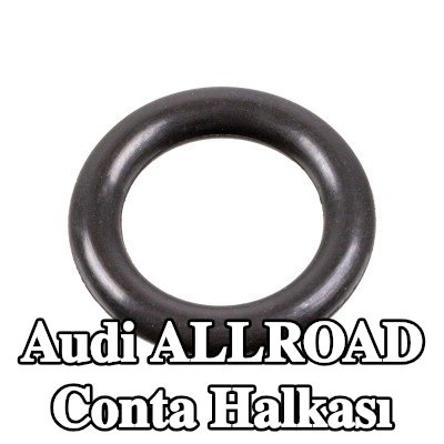 FEBI BILSTEIN Conta halkası — Audi Allroad