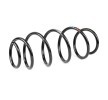 SACHS Helezon yay — 2002 SEAT Ibiza (2)