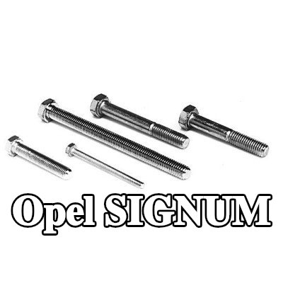 VEGAZ برغي العادم — Opel Signum