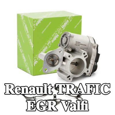 VALEO Contalı/sızdırmazlık elemanlı EGR valfi — 2012 Renault Trafic