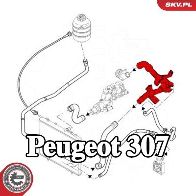 ESEN SKV أنبوب سائل التبريد — Peugeot 307