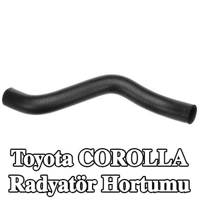 GATES Radyatör hortumu — 1990 Toyota Corolla
