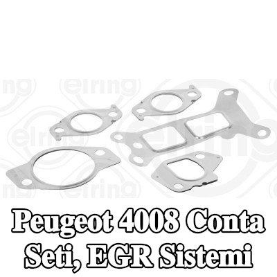 ELRING Conta seti, EGR sistemi — Peugeot 4008