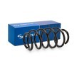 SACHS Helezon yay — 2012 Opel Zafira (1)