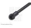 BLUE PRINT Bagaj kapağı desteği 527mm — Nissan Primera (2)