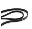 SKF V-Oluklu Kayış Seti — 2002 Nissan Micra (4)