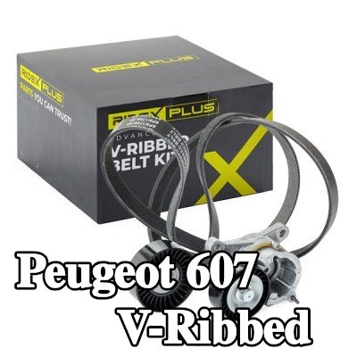 RIDEX PLUS مجموعة أحزمة V-Ribbed — 2000 Peugeot 607