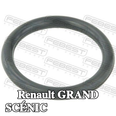 FEBEST حشية، شفة سائل التبريد — Renault Grand Scénic