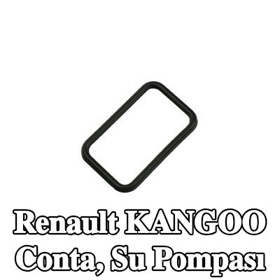FAST Conta, su pompası — Renault Kangoo