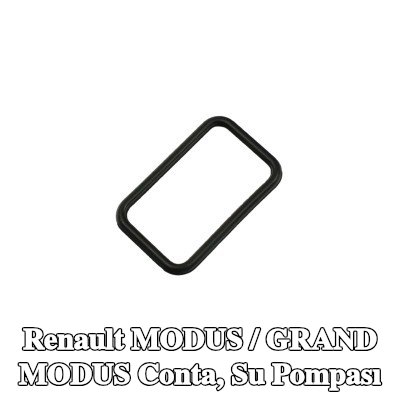 FAST Conta, su pompası — Renault Modus / Grand Modus