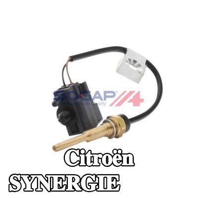 BOGAP مضخة البنزين — Citroën Synergie