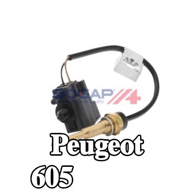 BOGAP مضخة البنزين — Peugeot 605