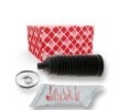 FEBI BILSTEIN Gresli direksiyon kremayeri kılıf kiti, kelepçeli — 2012 Ford Transit (1)