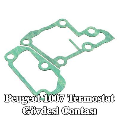 FEBI BILSTEIN Termostat gövdesi contası — Peugeot 1007