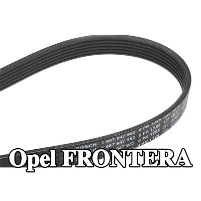 BOSCH حزام سيربنتين 1725mm, Number of ribs: 6 — Opel Frontera