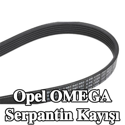 BOSCH Serpantin kayışı 1725mm, Number of ribs: 6 — Opel Omega