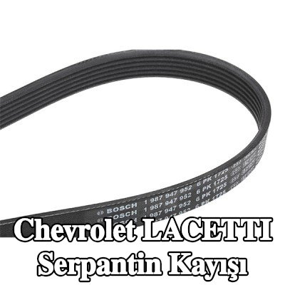 BOSCH Serpantin kayışı 1725mm, Number of ribs: 6 — Chevrolet Lacetti