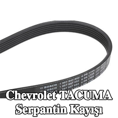 BOSCH Serpantin kayışı 1725mm, Number of ribs: 6 — Chevrolet Tacuma