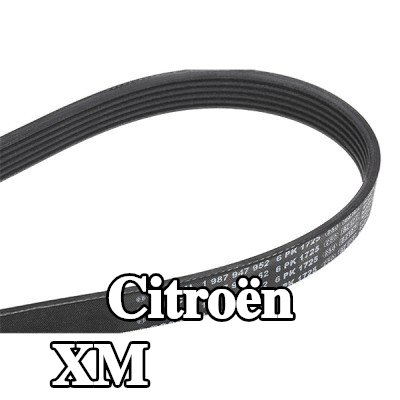 BOSCH حزام سيربنتين 1725mm, Number of ribs: 6 — Citroën Xm