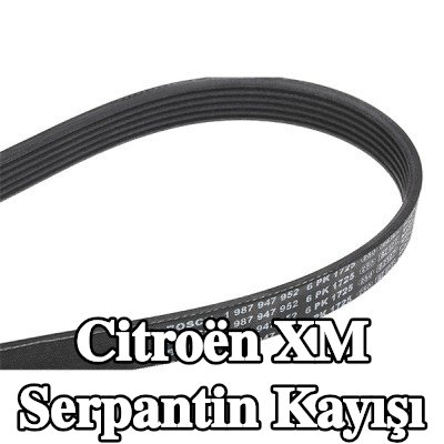 BOSCH Serpantin kayışı 1725mm, Number of ribs: 6 — Citroën Xm
