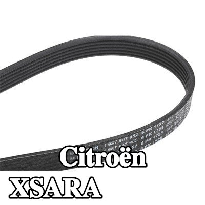 BOSCH حزام سيربنتين 1725mm, Number of ribs: 6 — Citroën Xsara