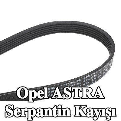 BOSCH Serpantin kayışı 1725mm, Number of ribs: 6 — 2000 Opel Astra