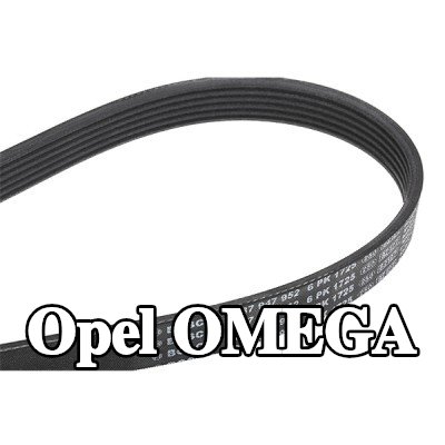 BOSCH حزام سيربنتين 1725mm, Number of ribs: 6 — Opel Omega