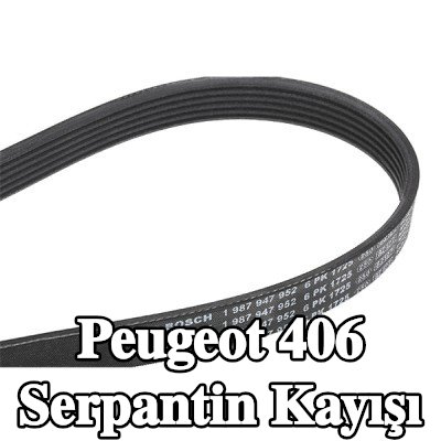 BOSCH Serpantin kayışı 1725mm, Number of ribs: 6 — Peugeot 406