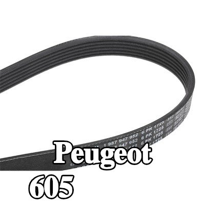 BOSCH حزام سيربنتين 1725mm, Number of ribs: 6 — Peugeot 605
