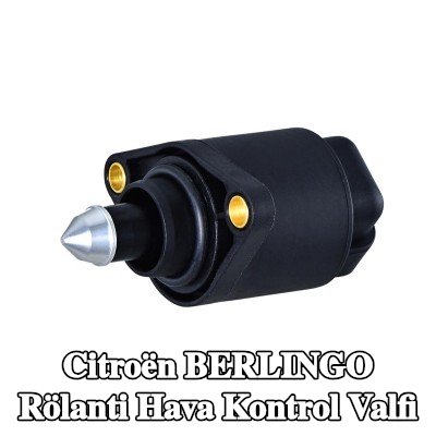 HELLA Contalı/sızdırmazlık elemanlı rölanti hava kontrol valfi — 2000 Citroën Berlingo
