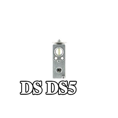 MAHLE صمام تمدد تكييف الهواء — DS Ds5
