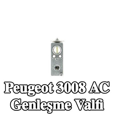 MAHLE AC genleşme valfi — 2012 Peugeot 3008
