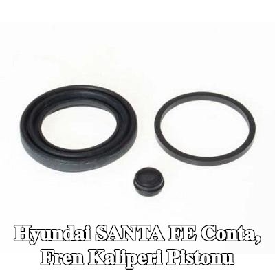 BREMBO Conta, fren kaliperi pistonu — 2012 Hyundai Santa Fe