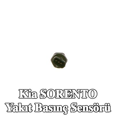 BOSCH Yakıt basınç sensörü Yüksek Basınç Tarafı — 2012 Kia Sorento