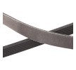 RIDEX PLUS Serpantin kayışı 2415mm, Number of ribs: 6 — Chevrolet Blazer S10 (4)