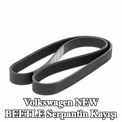 BOSCH Serpantin kayışı 1125mm, Number of ribs: 6 — 2000 Volkswagen New Beetle