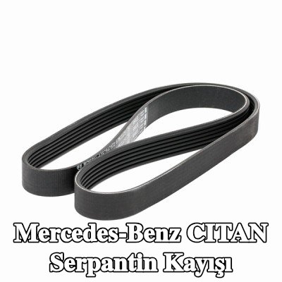 BOSCH Serpantin kayışı 1125mm, Number of ribs: 6 — 2012 Mercedes-Benz Citan