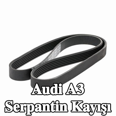 BOSCH Serpantin kayışı 1125mm, Number of ribs: 6 — 2000 Audi A3