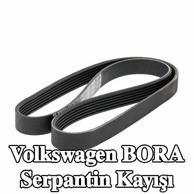 BOSCH Serpantin kayışı 1125mm, Number of ribs: 6 — Volkswagen Bora